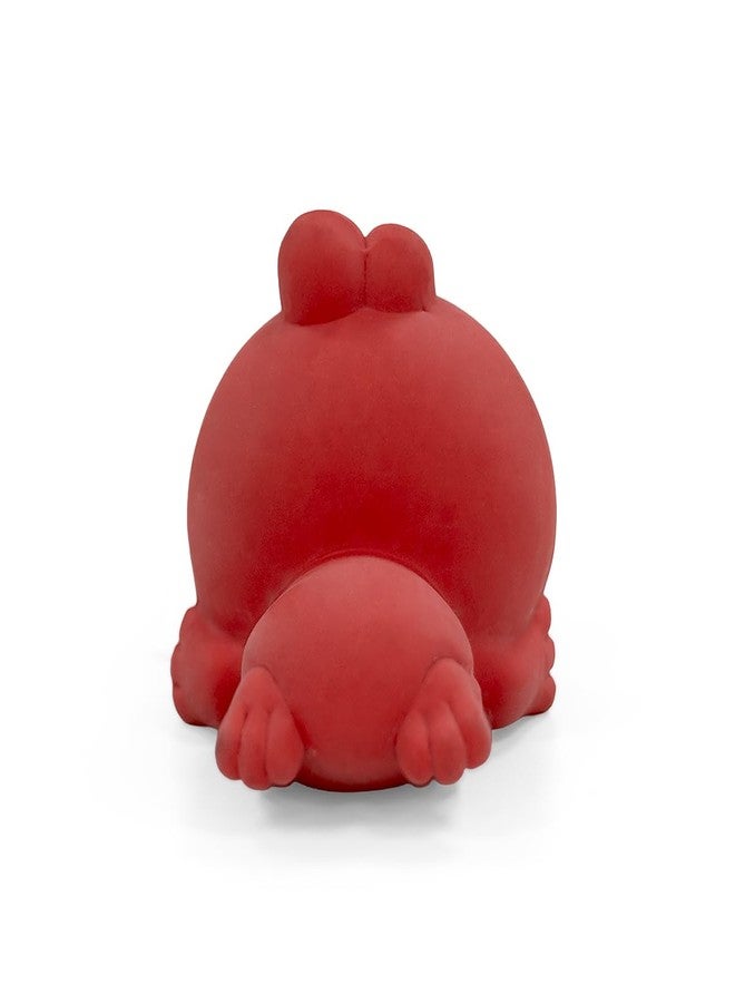 Zigly Lifestyle Lil Froggo Squeaker Dog Toy | Soft Chew Toy for Teething & Indoor Play - Image 3